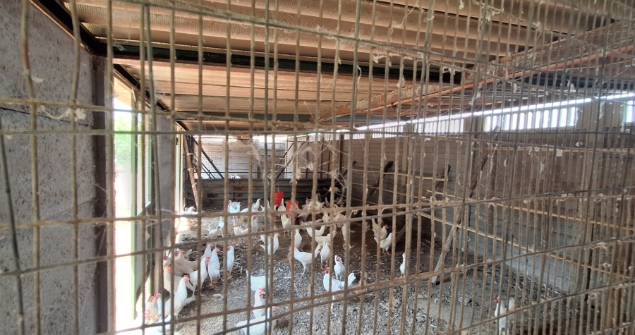 4 Bedroom Property for Sale in Vaal Power A H Free State